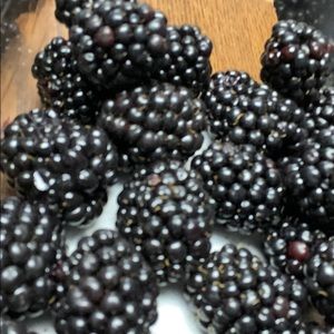 Meet your Posher, Jacob